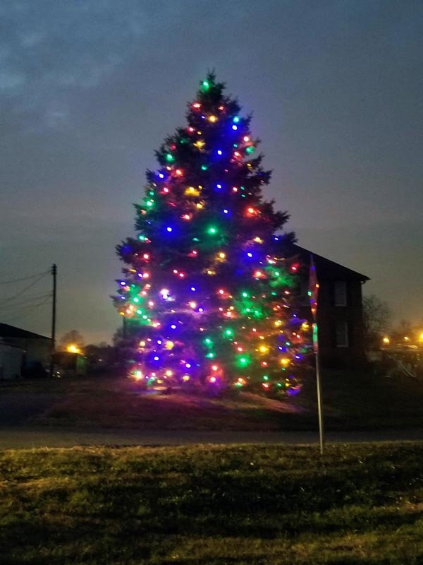 Christmas Light Installation in Pikesville MD Results